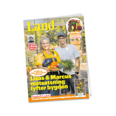 Tidningen Land 6 månader